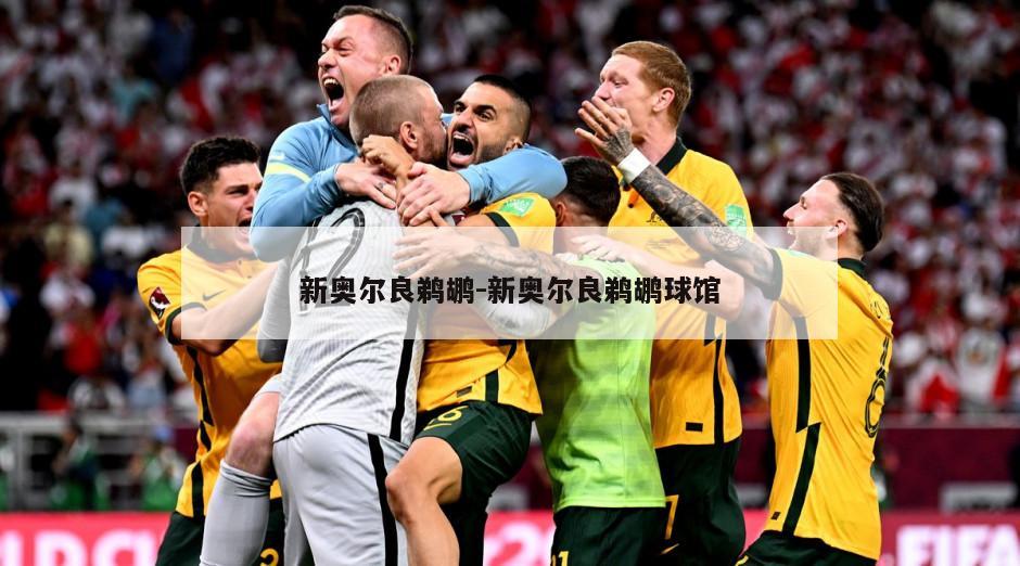 新奥尔良鹈鹕-新奥尔良鹈鹕球馆