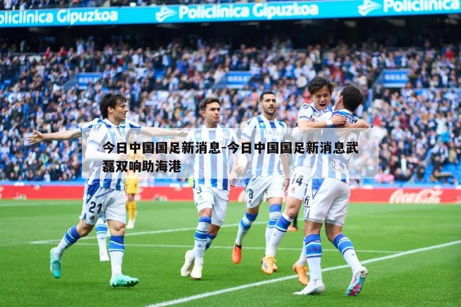 今日中国国足新消息-今日中国国足新消息武磊双响助海港