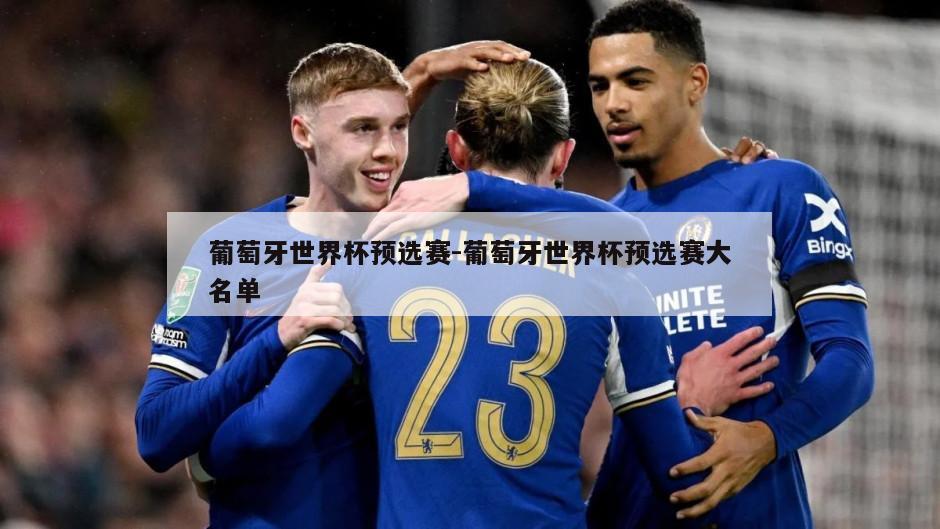 葡萄牙世界杯预选赛-葡萄牙世界杯预选赛大名单