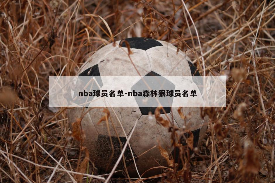 nba球员名单-nba森林狼球员名单