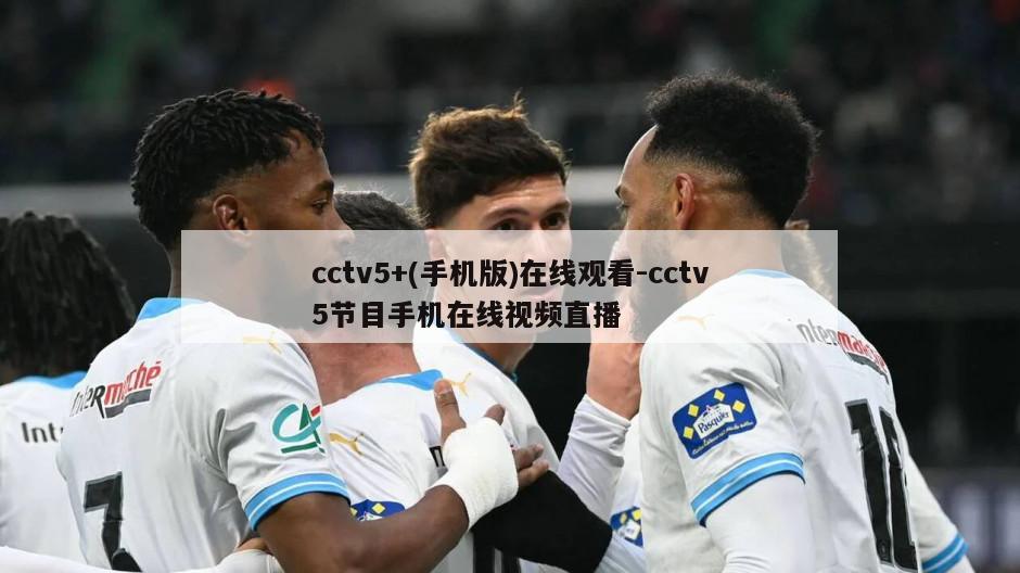 cctv5+(手机版)在线观看-cctv5节目手机在线视频直播