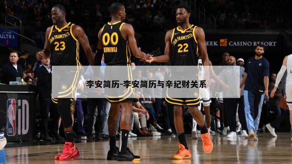 李安简历-李安简历与辛纪财关系
