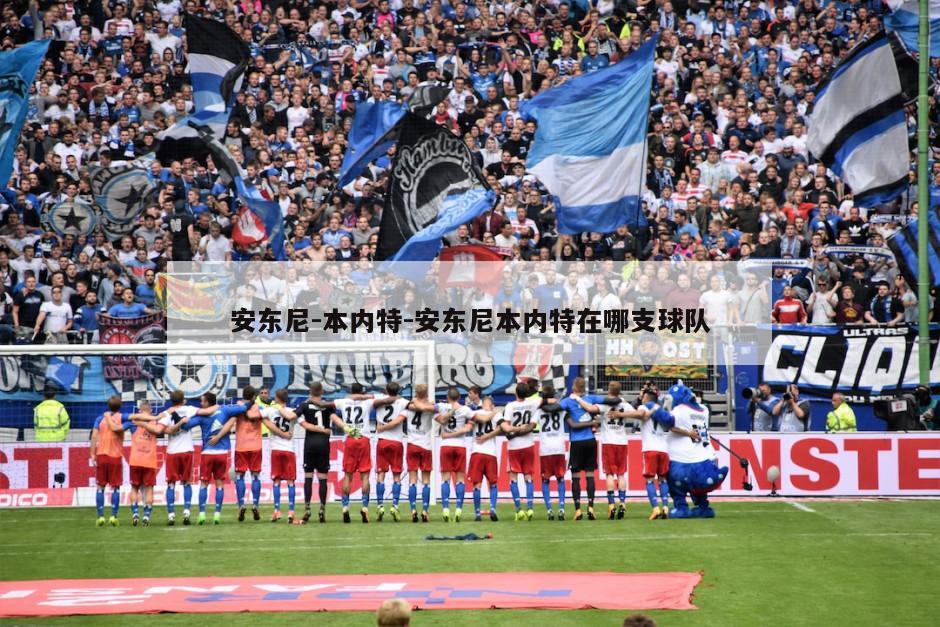 安东尼-本内特-安东尼本内特在哪支球队